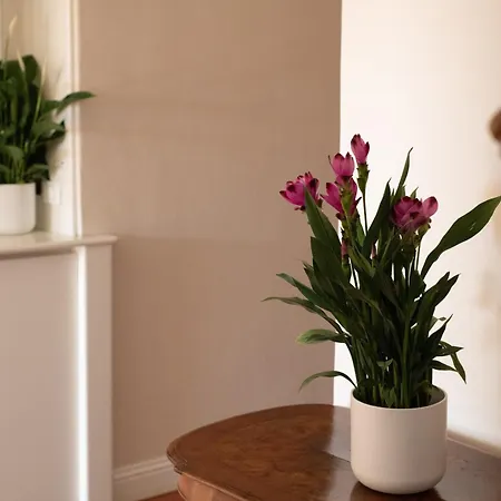 ベッド・アンド・ブレックファスト Eden Jacuzzi Pool 4*